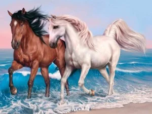 Animalele Jigsaw Puzzle Cai