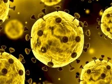 Diapozitiv de coronavirus