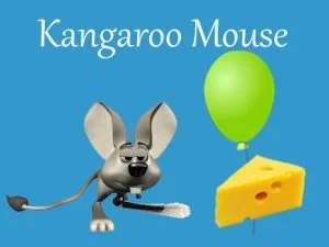 Mouse de cangur
