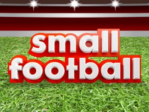 Fotbal mic
